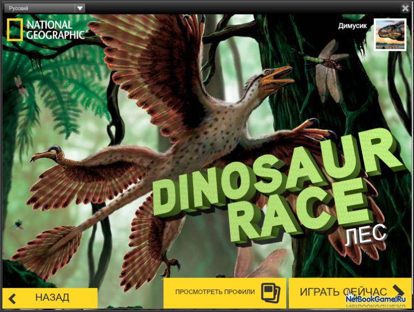 Гонки динозавров: Лес / Dinosaur Race: Forest