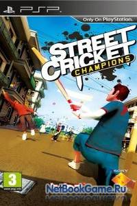 Street Cricket Champions