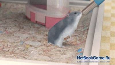 Petz: Hamsterz Bunch